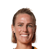 Schmidt image