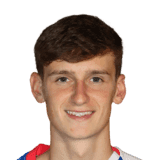 Morton image