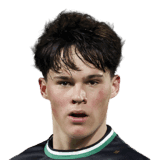 van Bergen image