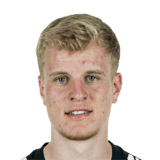 Hansen image