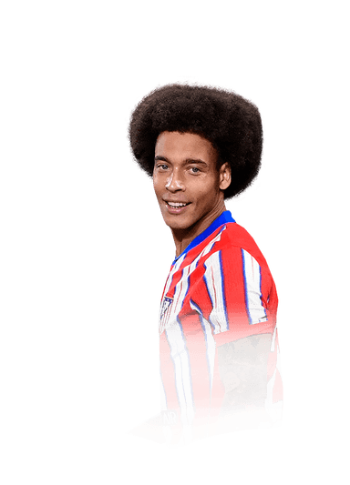 Witsel image