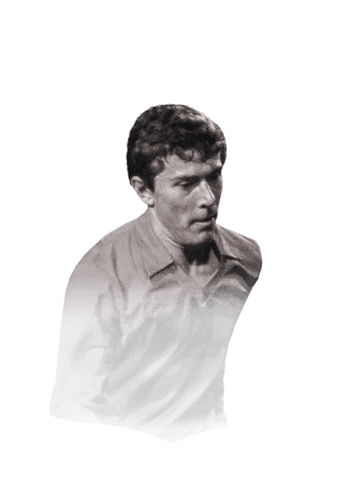 Emilio Butragueño image