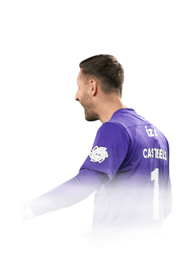 Casteels image