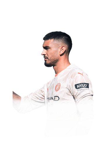 Gazzaniga image