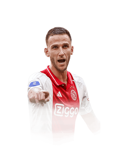 van den Boomen image