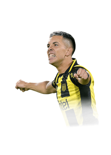 Fernández image