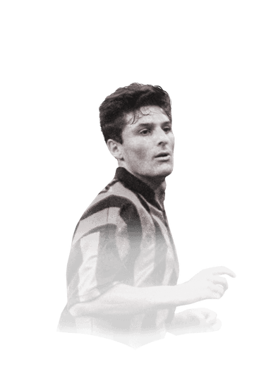 Zanetti image
