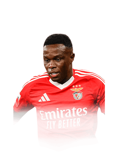 Bruma image