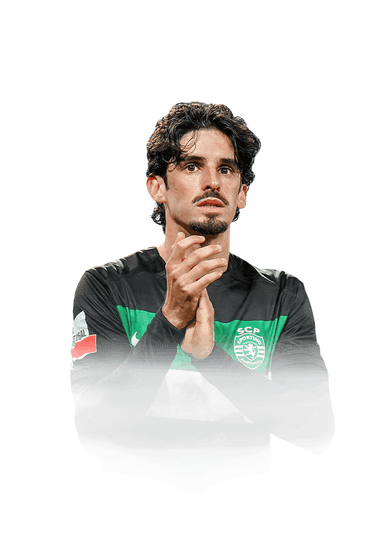Trincão image