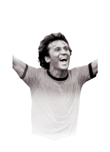 Zico image
